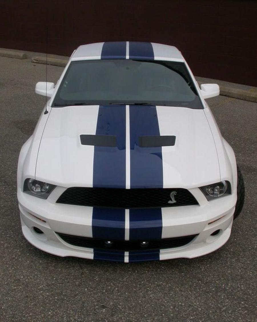 Ford Mustang GT500 by StangNet 2007 года  (фото 6 из 13)